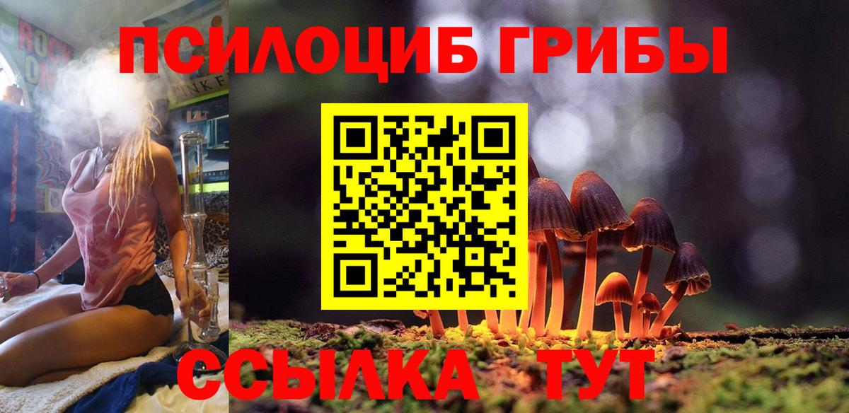 Псилоцибиновые грибы мицелий Пугачёв