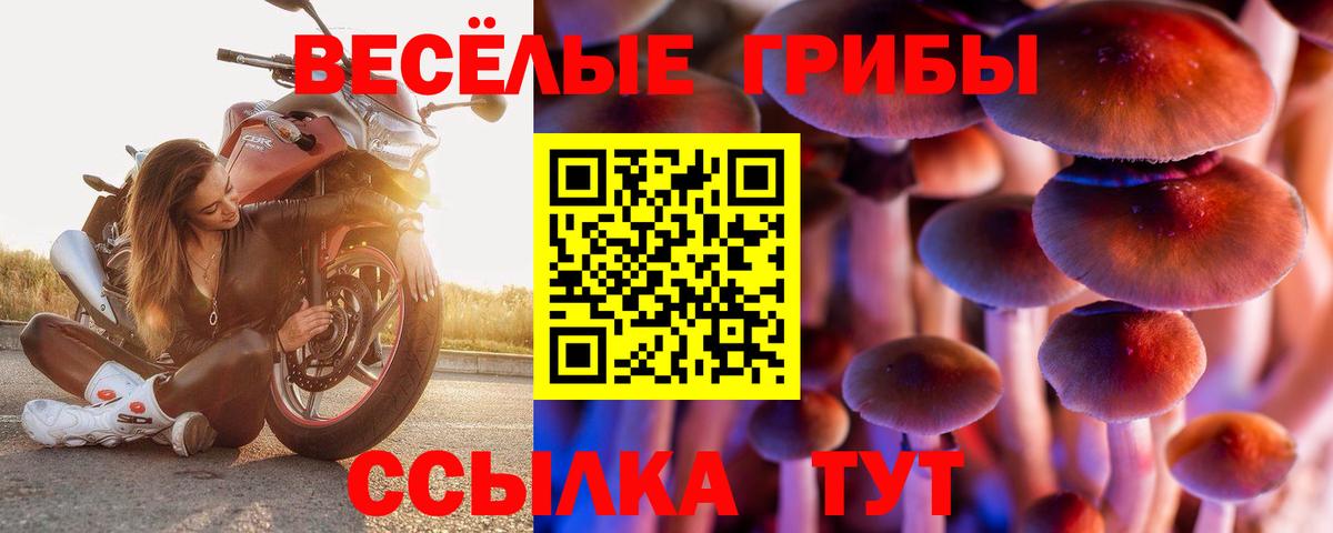 Галлюциногенные грибы Magic Shrooms  Псилоцибиновые грибы MAGIC MUSHROOMS  Пугачёв  Вход с VPN 